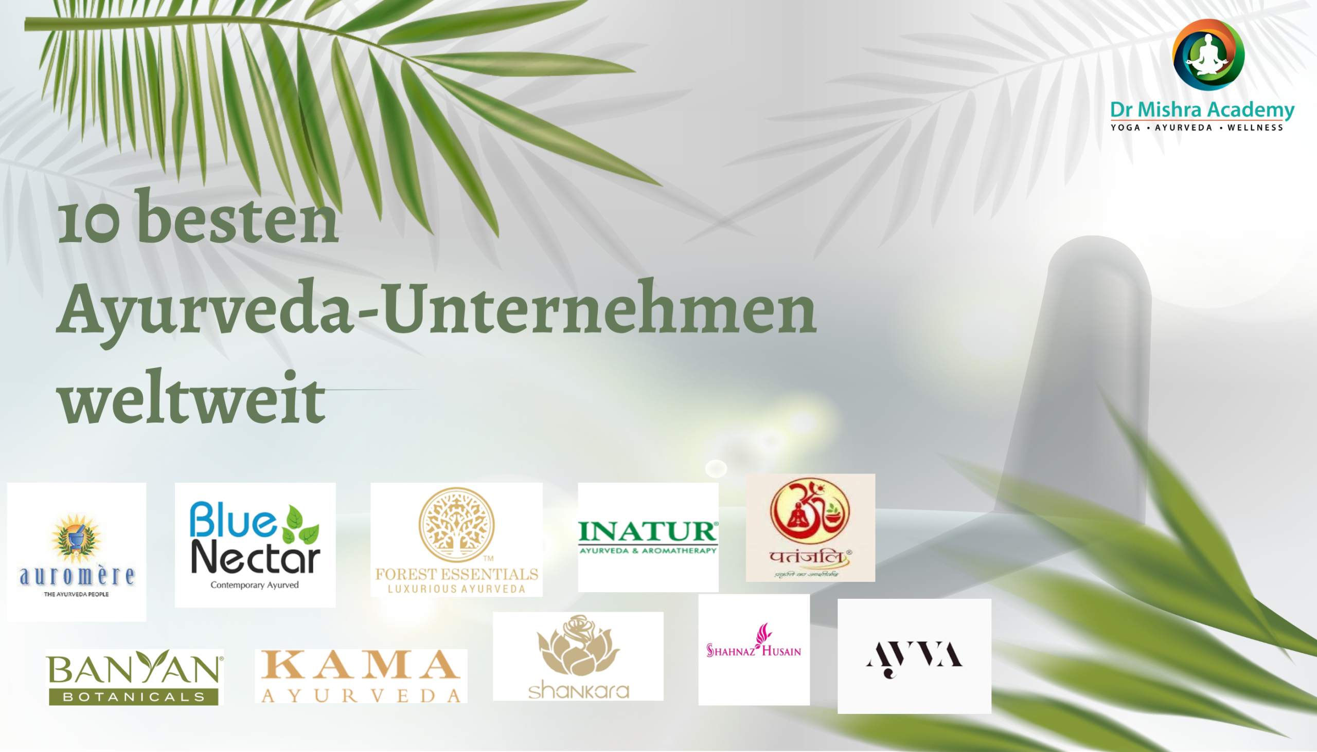 Entdecken Sie die 10 besten Ayurveda-Unternehmen weltweit. Logo von: Blue Nectar, Banyan Botanicals,  Kama Ayurveda,  INATUR, Forest Essentials,  Shahnaz Husain, Shankara, Ayva, Auromère, patanjali Ayurved